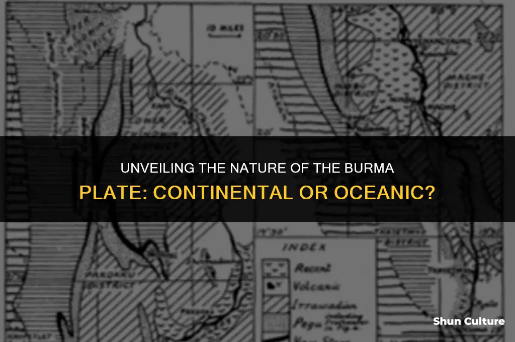 is the burma plate continental or oceanic