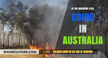 Australia's Bushfire Status: Are the Blazes Still Raging in 2023?