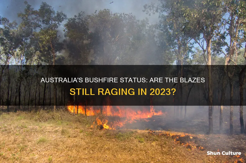is the bushfire still going in australia