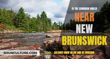 Canadian Shield: New Brunswick's Geology