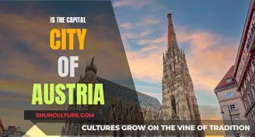 Exploring Austria's Captivating Capital: Vienna's Unique Allure