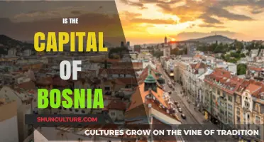 Exploring Bosnia's Capital: Unveiling the Heart of Sarajevo's Rich History
