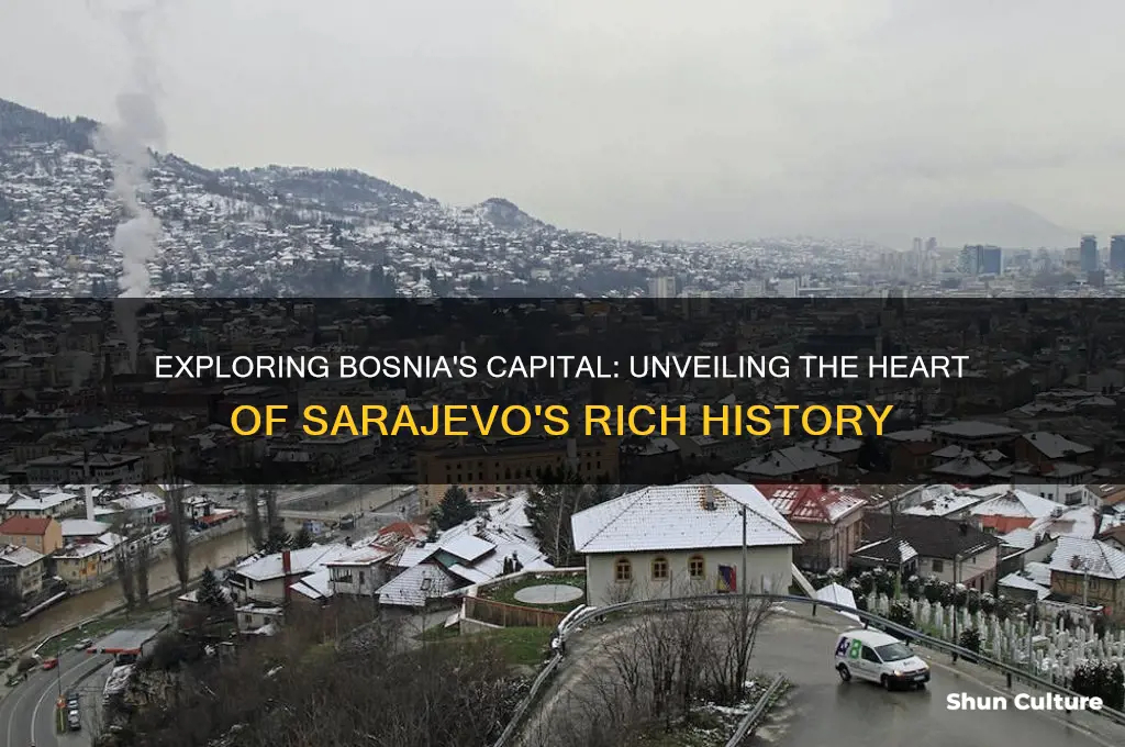 is the capital of bosnia
