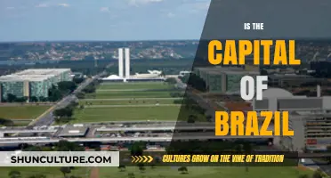 Discovering Brazil's Capital: Unveiling the Heart of a Vibrant Nation