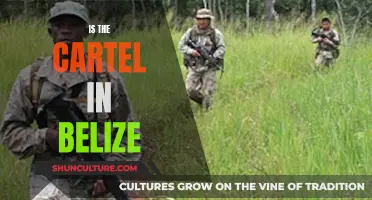 The Belizean Cartel Conundrum: Understanding the Presence of Drug Trafficking Organizations