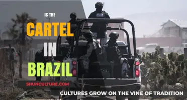 Unveiling Brazil's Cartel Presence: Myths, Realities, and Societal Impact