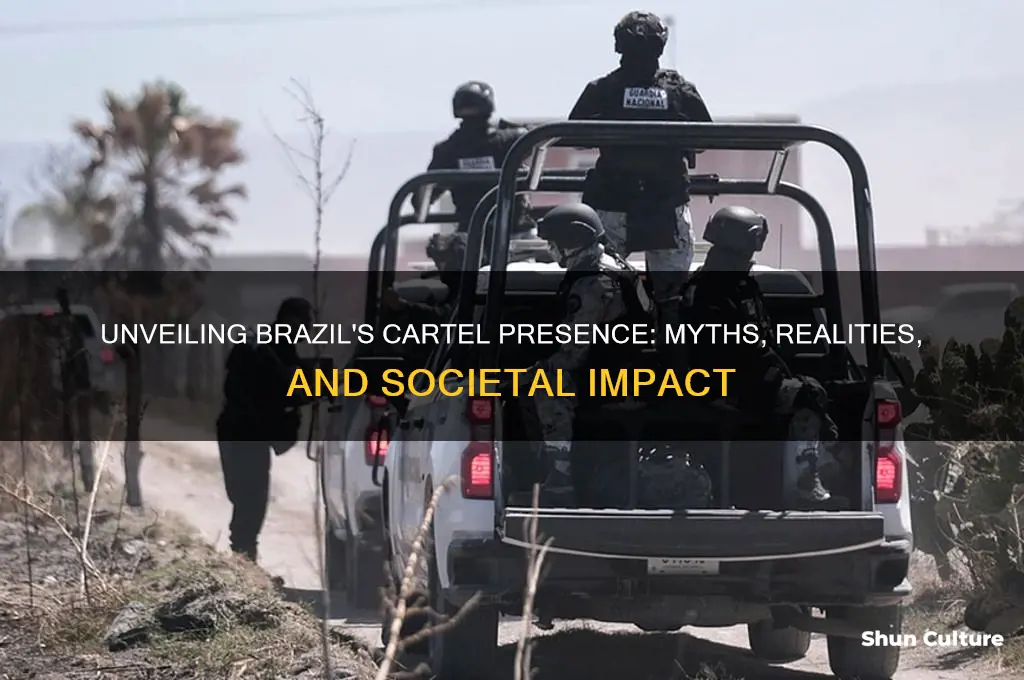 is the cartel in brazil