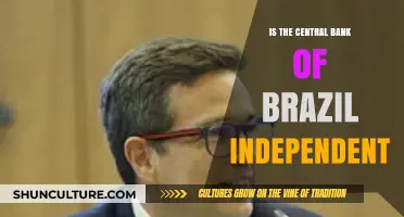 Is Brazil's Central Bank Truly Independent? A Critical Analysis