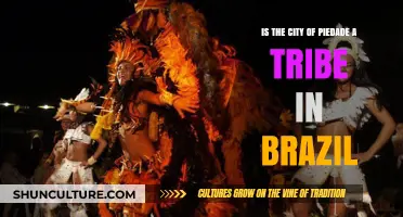 Piedade: City or Tribe? Unraveling Brazil's Cultural Identity
