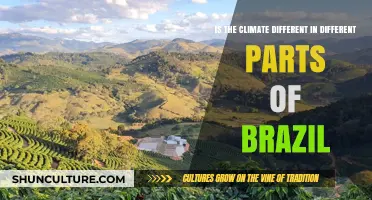 Brazil's Climate Diversity: Exploring Regional Weather Variations Across the Country