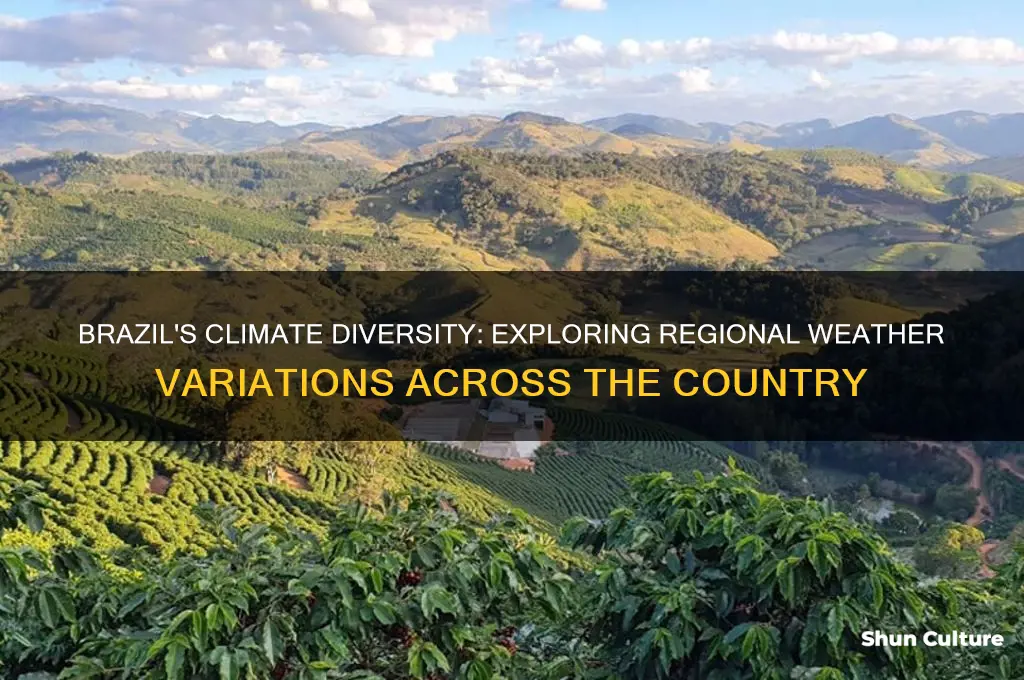 is the climate different in different parts of brazil