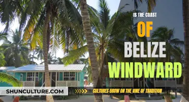 Belize's Coastal Conundrum: Unraveling the Windward Mystery