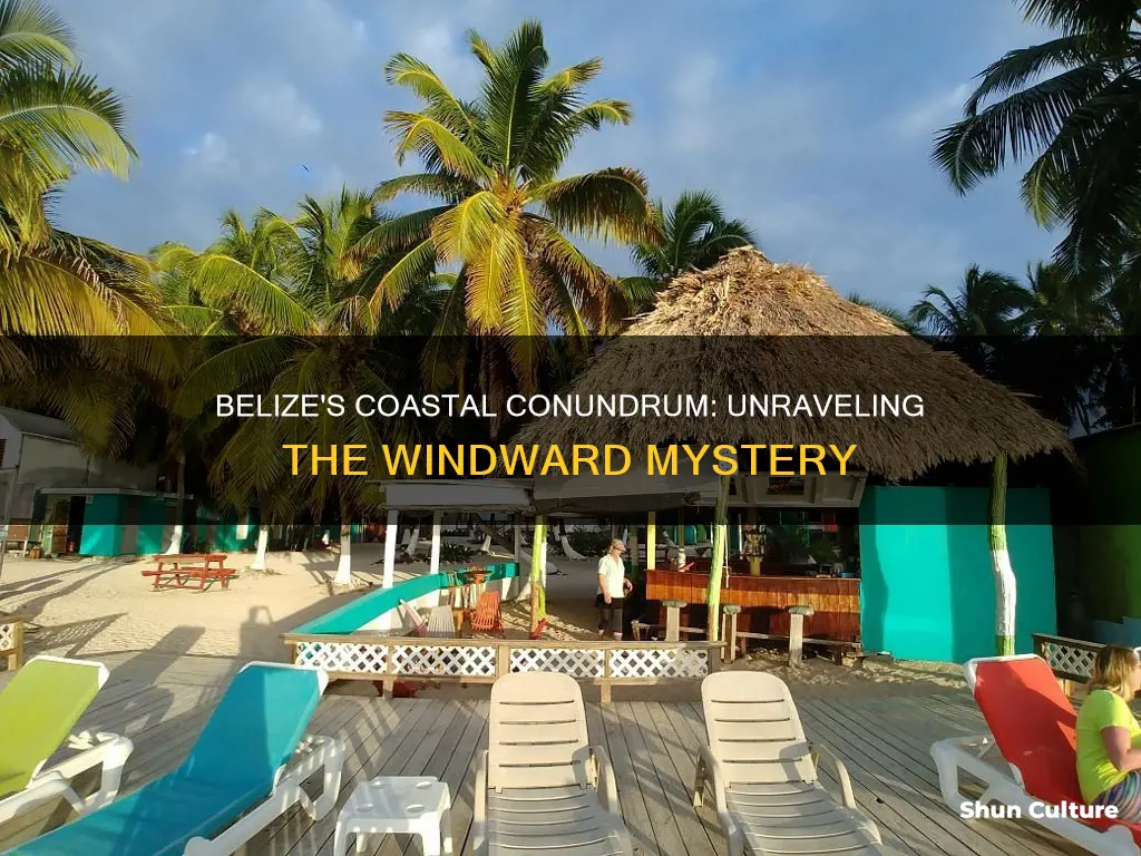 is the coast of belize windward