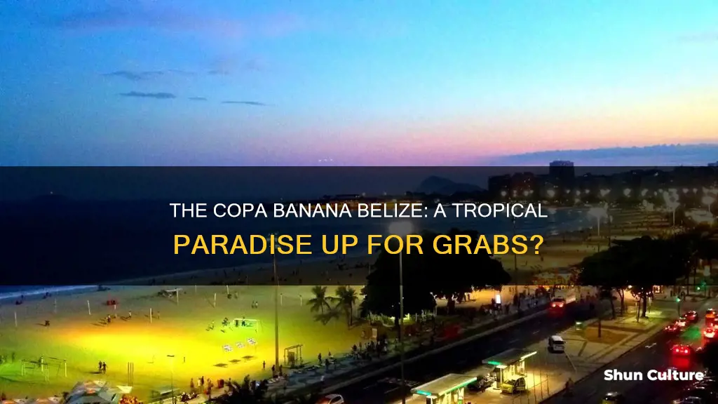 is the copa banana belize for sale