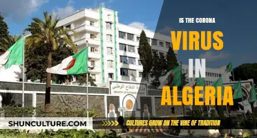 COVID-19 in Algeria: Current Status, Impact, and Public Health Measures