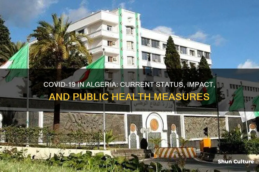 is the corona virus in algeria