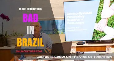 Brazil's COVID-19 Crisis: Assessing the Impact and Challenges