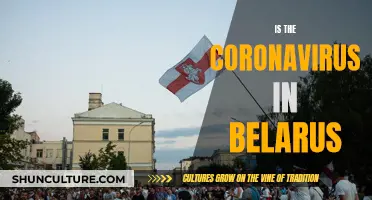 Coronavirus in Belarus: Is the Country Affected?