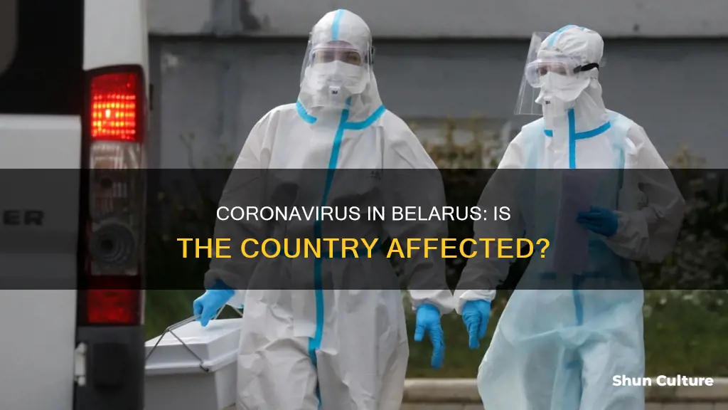 is the coronavirus in belarus