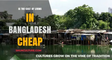 Is Bangladesh Affordable? Exploring the Cost of Living in Bangladesh