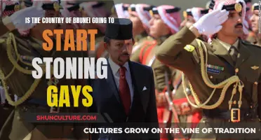 Brunei's Death Penalty for Homosexuality: Stoning to Death?