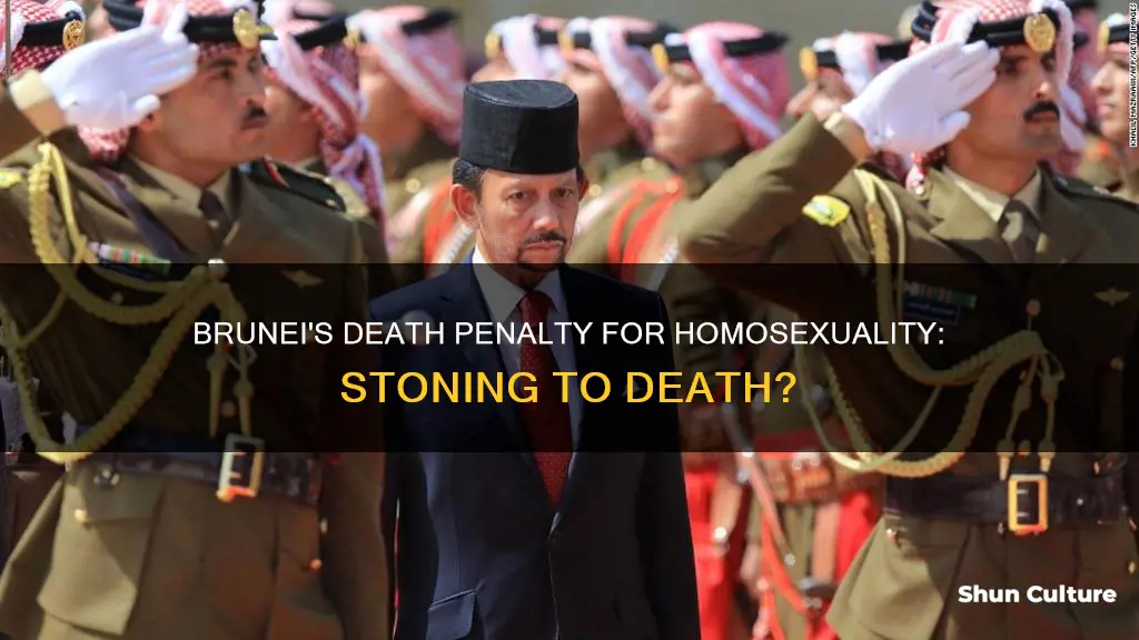 is the country of brunei going to start stoning gays