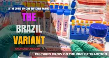 COVID Vaccine Efficacy: How Effective Against the Brazil Variant?