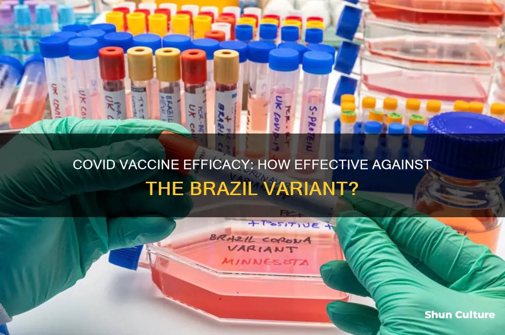 is the covid vaccine effective against the brazil variant