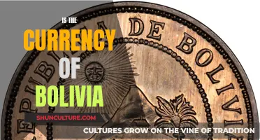 Exploring the Currency of Bolivia: What You Need to Know