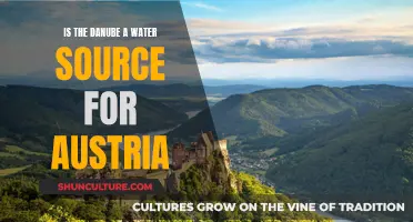 Austria's Water Source: The Danube's Significance