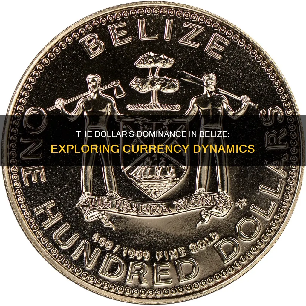 is the dollar strong in belize