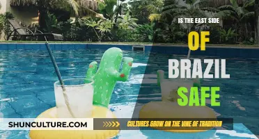 Exploring Safety on Brazil's East Side: What Travelers Need to Know