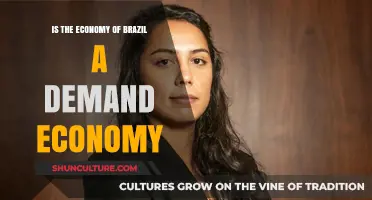 Brazil's Economy: A Demand-Driven Model or Supply-Side Focus?