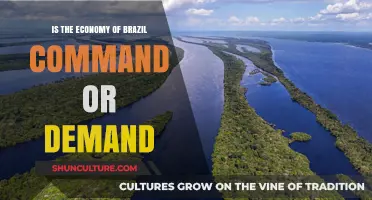 Brazil's Economy: Command-Driven or Demand-Led System?