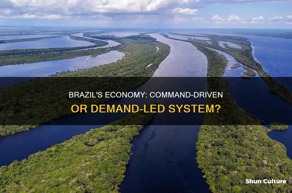 is the economy of brazil command or demand