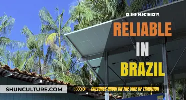Brazil's Power Grid: Assessing Electricity Reliability and Challenges