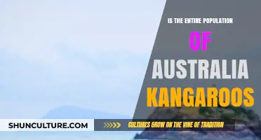 Exploring Australia: Kangaroos and More