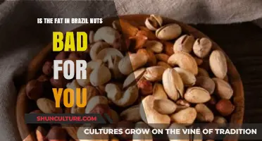 Are Brazil Nuts' Fats Healthy or Harmful for Your Diet?