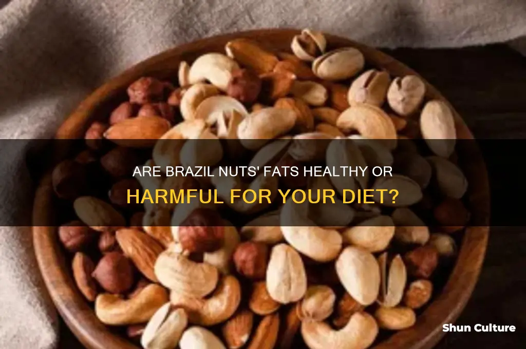 is the fat in brazil nuts bad for you
