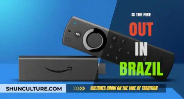 Is Brazil's Amazon Fire Crisis Finally Under Control?