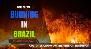 Is Brazil's Fire Still Raging? An Update on the Crisis