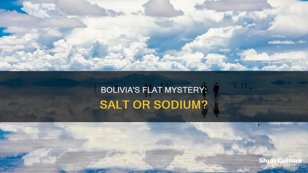 is the flats in bolivia salt or sodium