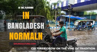 Is Bangladesh's Flooding Normal? Exploring Causes and Consequences