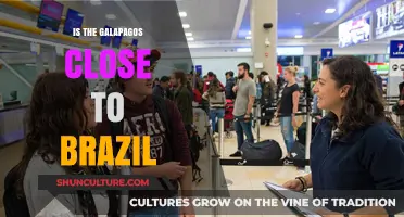 Is the Galapagos Near Brazil? Exploring the Distance Between These Destinations