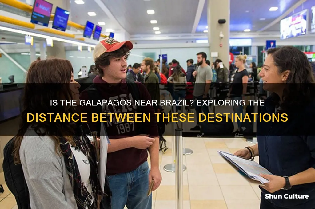 is the galapagos close to brazil