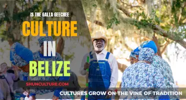 The Presence of the Gullah Geechee Culture in Belize: A Historical Perspective