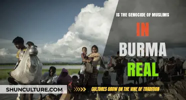 Unveiling the Truth: The Plight of Muslims in Burma