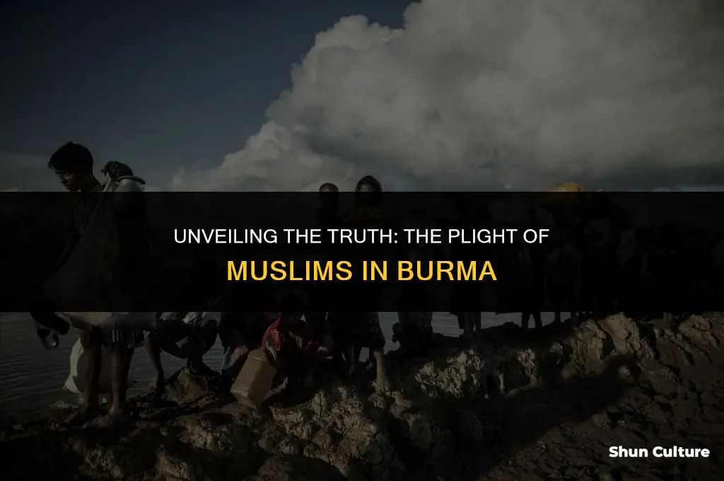 is the genocide of muslims in burma real