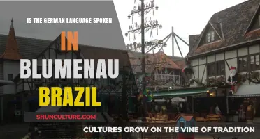 Is German Still Spoken in Blumenau, Brazil? A Cultural Exploration