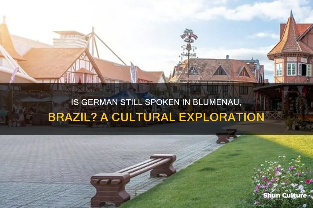 is the german language spoken in blumenau brazil